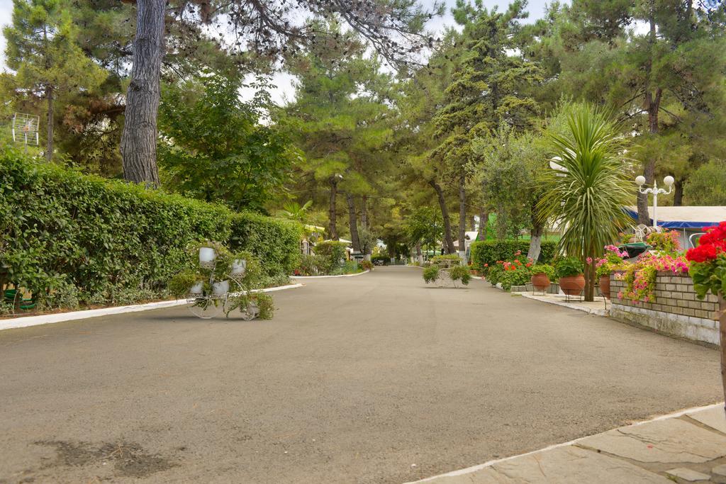 Olympos Beach Plaka Litochorou Ngoại thất bức ảnh