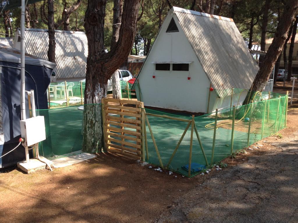 Olympos Beach Plaka Litochorou Ngoại thất bức ảnh