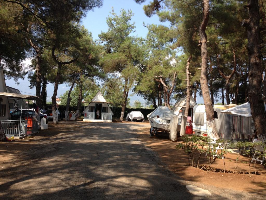Olympos Beach Plaka Litochorou Ngoại thất bức ảnh