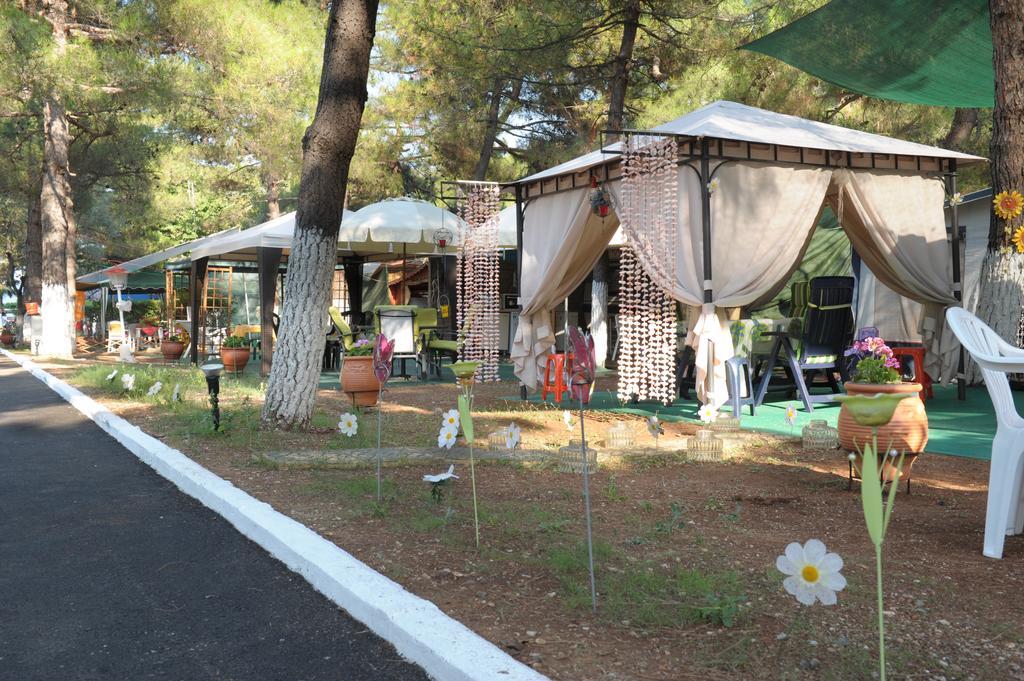 Olympos Beach Plaka Litochorou Ngoại thất bức ảnh